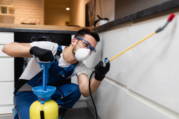 Best Insect Control  in Perryville, MD