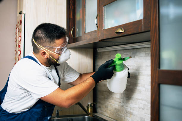 Best Pest Prevention Services  in Perryville, MD