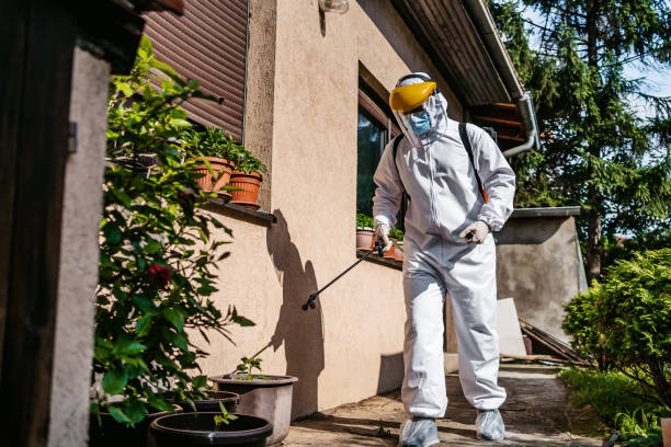 Best Affordable Pest Control Services  in Perryville, MD