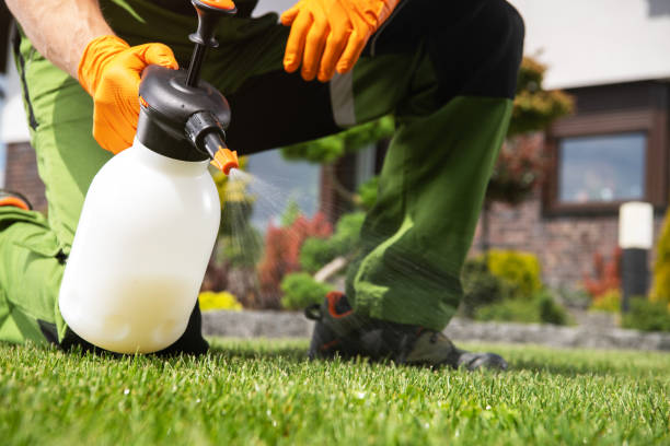 Best Pest Inspection Near Me  in Perryville, MD