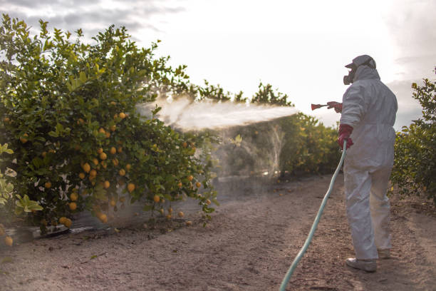 Best Wasp Removal Services  in Perryville, MD