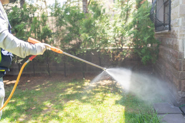 Best Pest Removal Services  in Perryville, MD