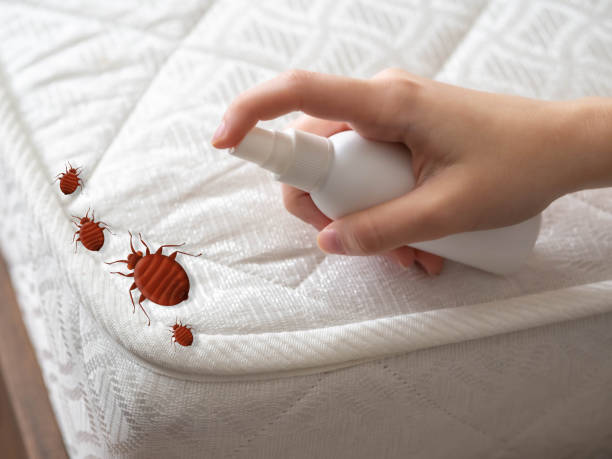 Best Flea Control Services  in Perryville, MD