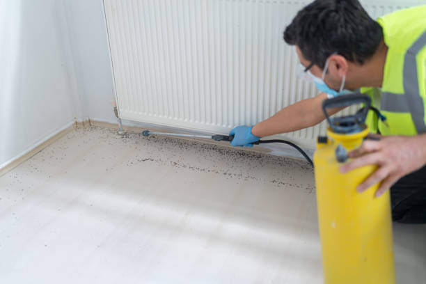 Best Pest Removal Services  in Perryville, MD